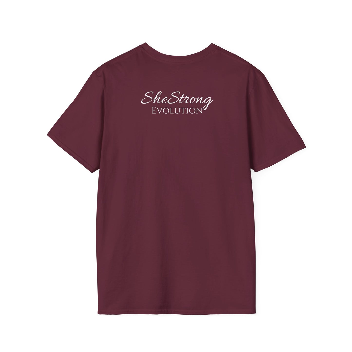 Evolution Tee Shirts