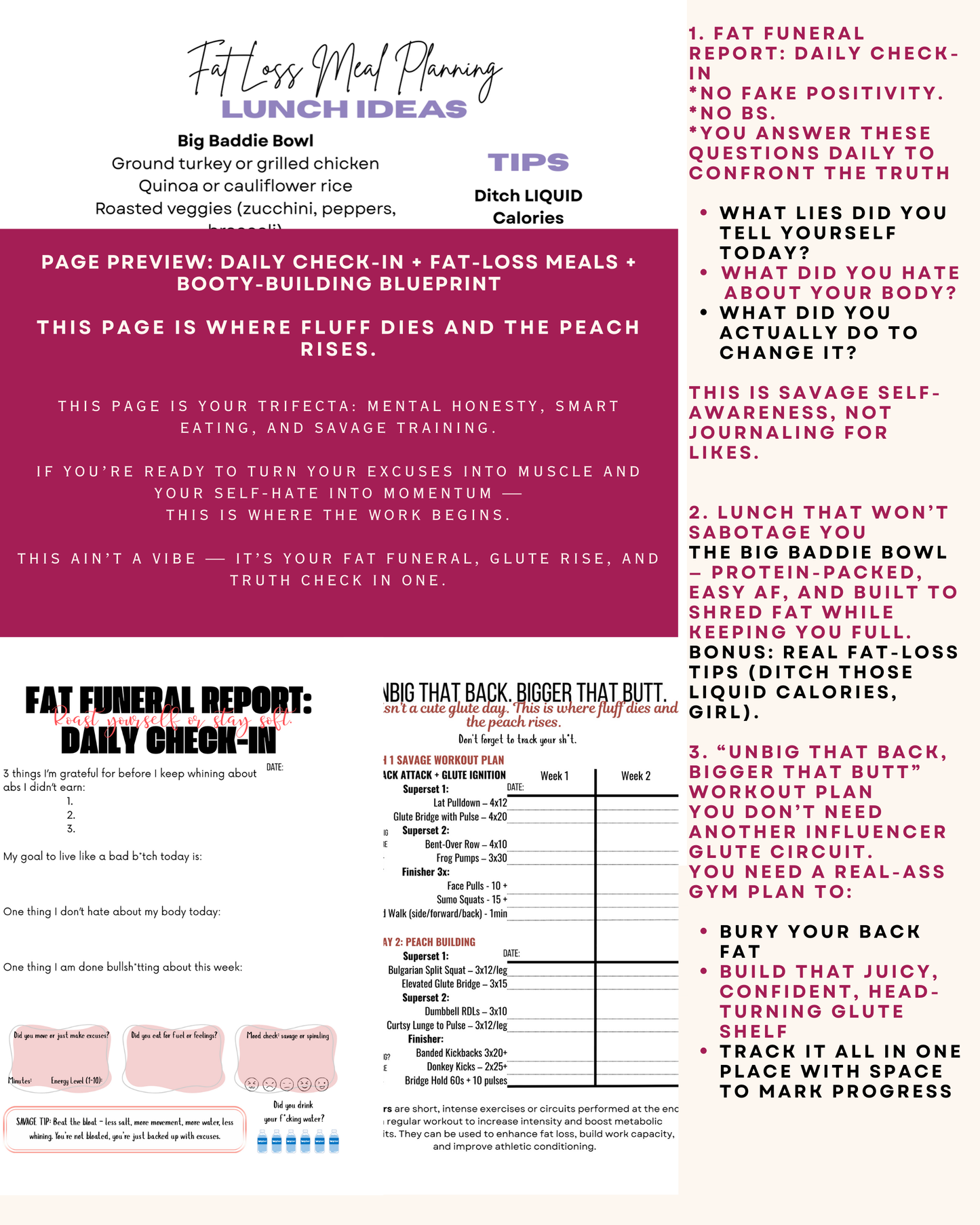 PRE-ORDER: Evolve Fitness Journal cover showing fat loss meal planning, daily check-ins, and workout tracking pages.