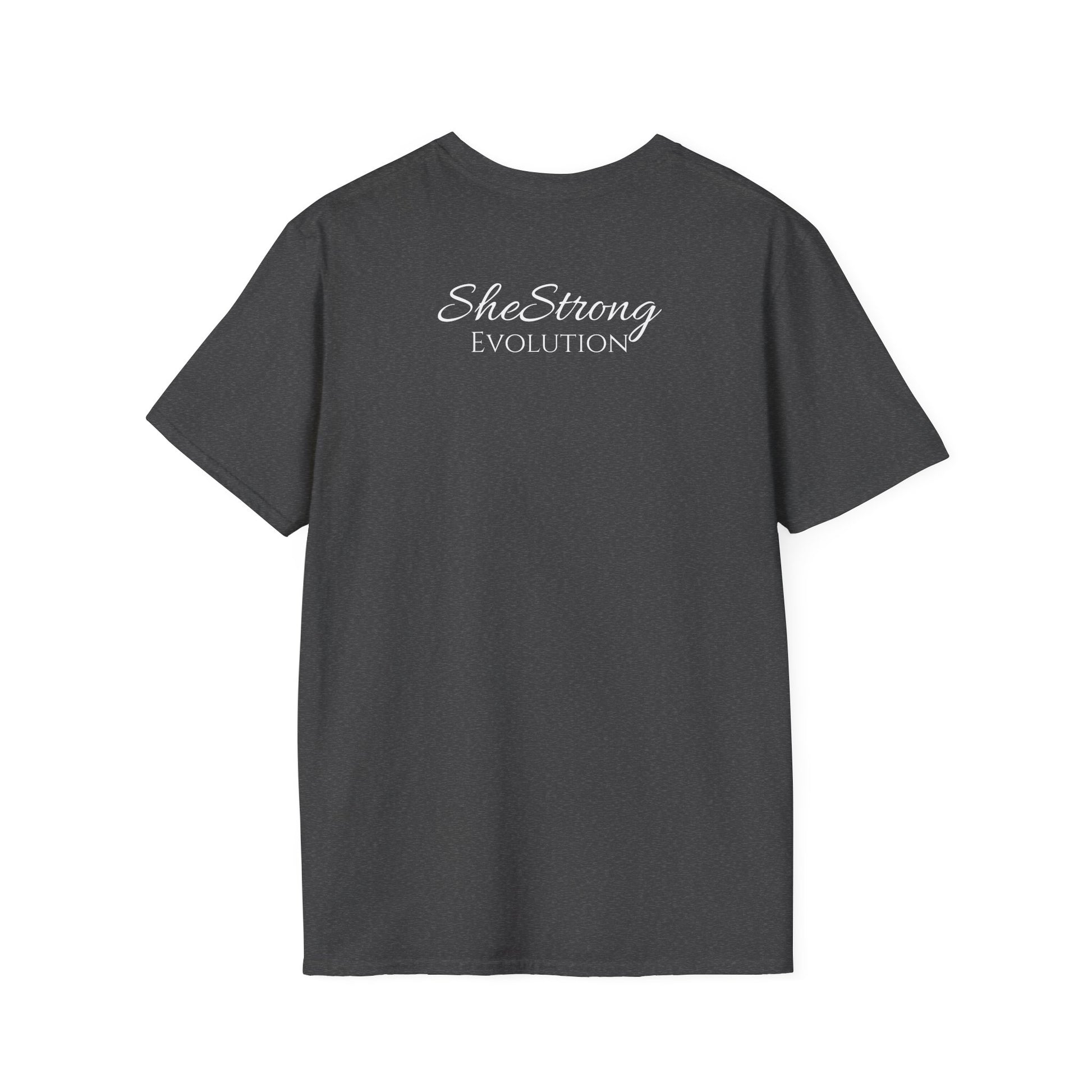 Evolution Tee Shirts